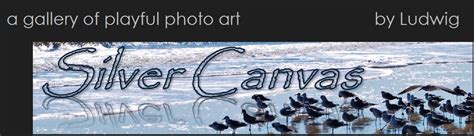 Silver Canvas – a gallery of playful photo art