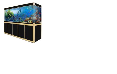 Any experience with Aqua Dream tanks? I can't find any reviews. : r ...