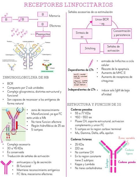 Inmunología uDocz