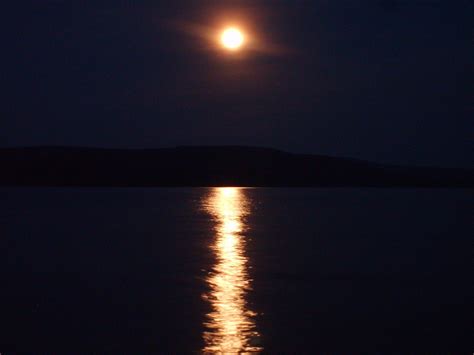 sunset  water copyright  photo   vorel libreshot