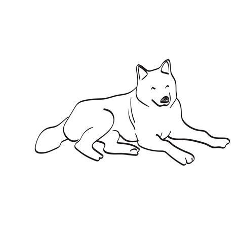 Dog Lying Down Drawing