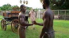 Mixed Oil Wrestling Championship Match Porn Xhamster