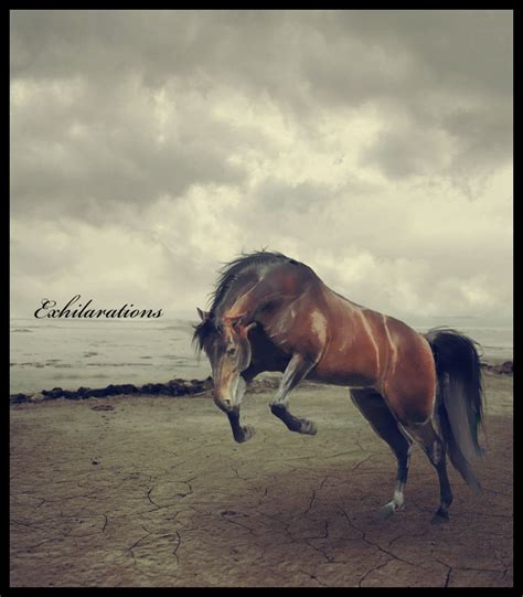 Simple Manipulation 2 By Exhilarations On Deviantart