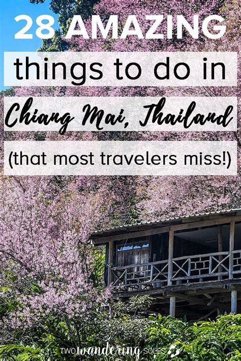 Absolute Best Things To Do In Chiang Mai Two Wandering Soles Artofit