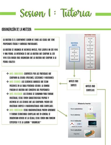 Apunte Tutorias De Sesion Uba Xxi Fmed Rock Udocz