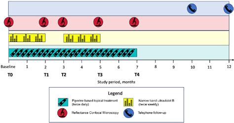 Figure 1 From Vitiligo Treated With Combined Piperine Based Topical