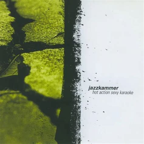 Jazkamer Hot Action Sexy Karaoke Reviews Album Of The Year