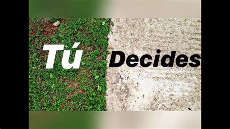 Tú Decides Youtube