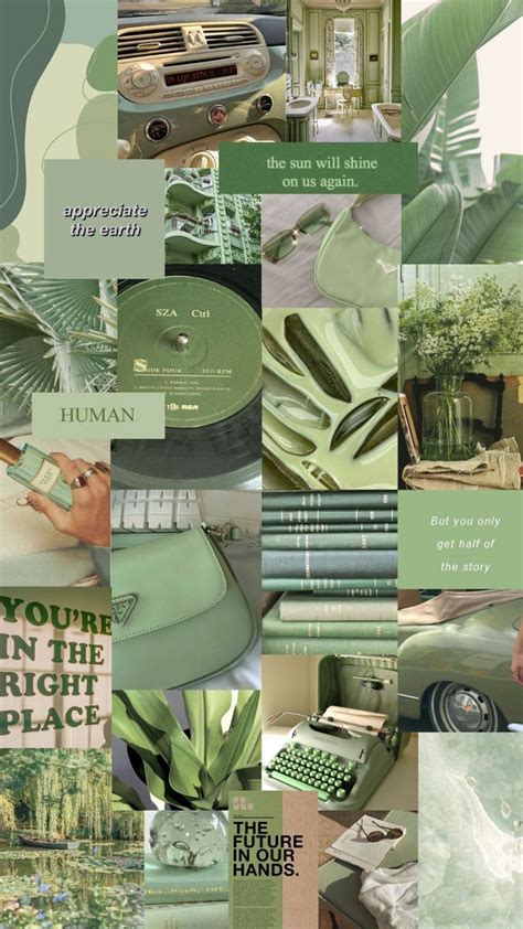 Sage Green Aesthetic Mint Green Wallpaper Iphone Green Aesthetic