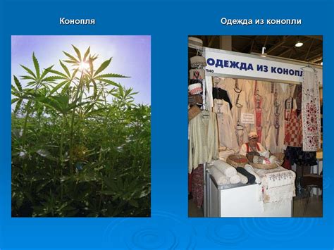 Текстильные волокна - презентация онлайн
