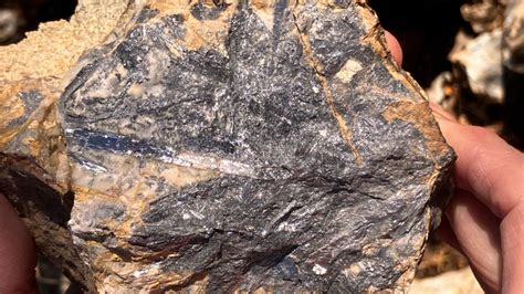 ‘High-grade’ Antimony Reward for Iltani ‘far beyond’ historical ...