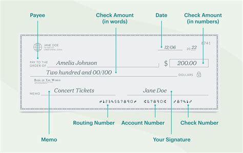 How to Write a Check — And An Example Check Template to Copy | theSkimm