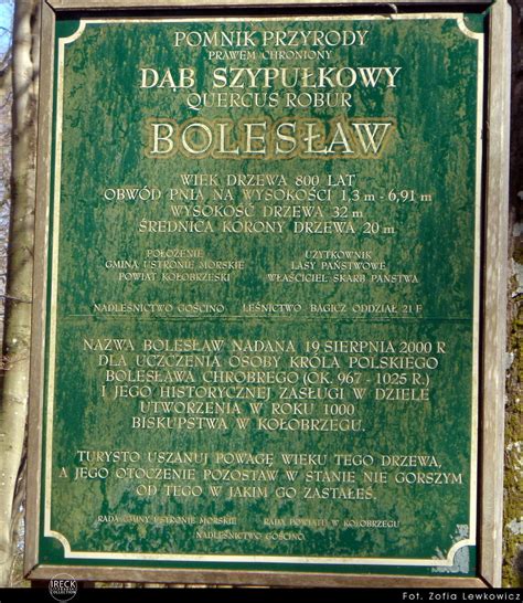 Dąb Bolesław - tablica informacyjna | ----> fot. Zofia Lewko… | Flickr
