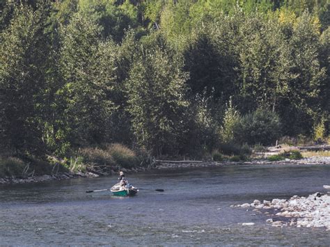 Fishing in Fall, Fernie, BC
