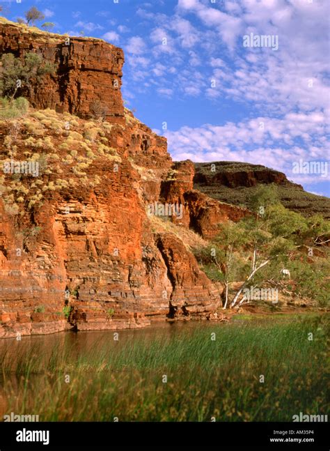 Australia. Western Australia. Hamersley range. Wittenoom gorge. Cathedral Pool Stock Photo - Alamy