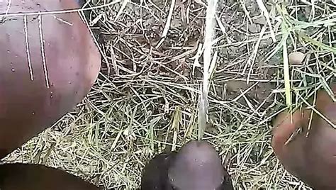 Makka Ki Khet Me Bhabhi Ko Choda Indian Sex Videos Gay Man Porn Feat Ironmony XHamster