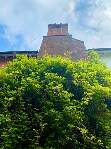 Spotlight Homes - Loving the magnificent chimney stack on...