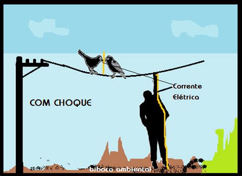 BIBOCA AMBIENTAL PORQUE PÁSSAROS NÃO TOMAM CHOQUE EM FIOS ELÉTRICOS