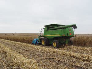 Cover Crop Options For Corn Grain In Wisconsin Crops And Soils