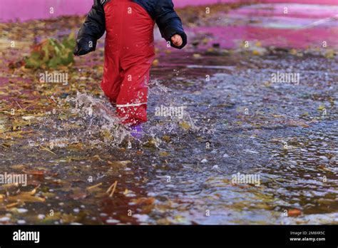 Child Splashing Water With Boots And Water Pants In A Puddle On A Rainy