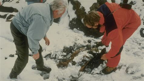 Ötzi el Hombre de Hielo