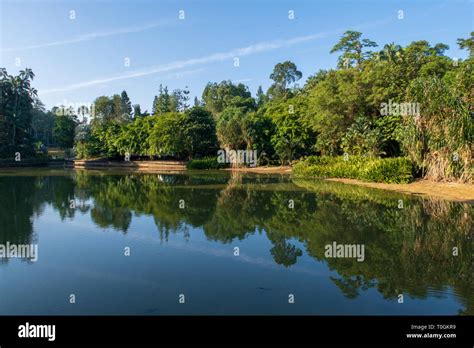 Singapore Botanical Gardens Is A Popular Location For Tourists And