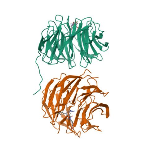 Rcsb Pdb Ujy Crystal Structure Of Human Wd Repeat Containing