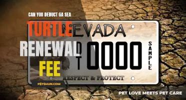 Exploring The Bizarre Question Sex With A Turtle Petshun