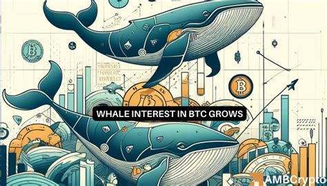 Bitcoin Record High Btc Accumulation By Whales Will Prices Follow