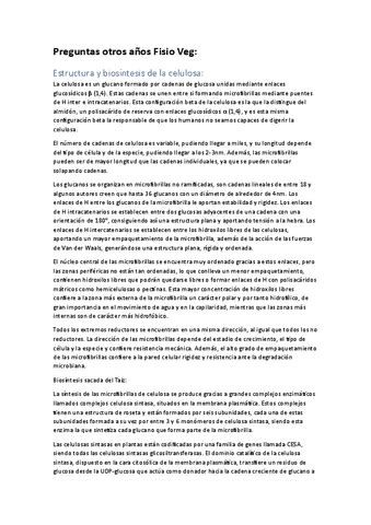 Conceptos Desarrollados Pdf