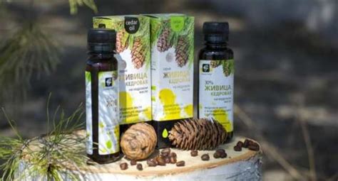 Сибирская чистка кедровой живицей инструкция отзывы