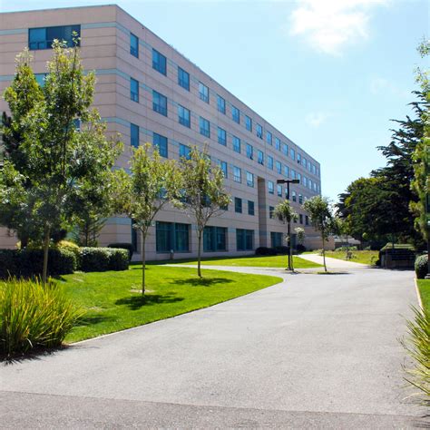 Undergraduate Majors Offered at San Francisco State University