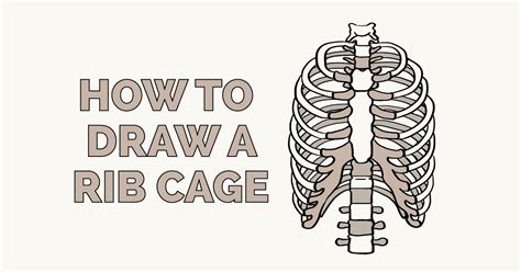 Anatomy Of The Rib Cage Drawing People Study Session Off