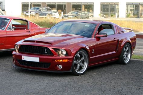 mustang   photo  flickriver