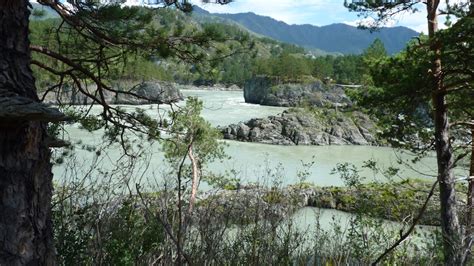 Скатались в Горный Алтай — Toyota Allion (T240), 1,8 л, 2002 года ...