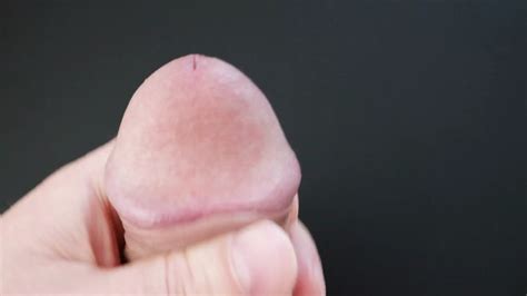 Cock Jerking Gay Amateur Amateur Porn By Faphouse Xhamster