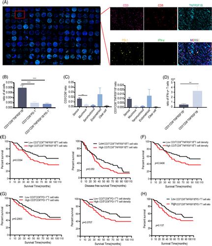 Singlecell Transcriptomics Identify TNFRSF1B As A Novel Tcell