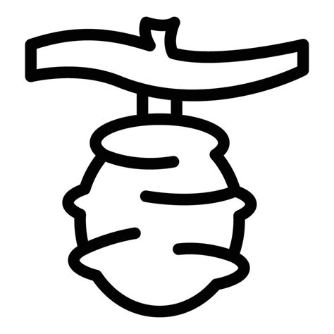 chrysalis shell icon outline vector insect cocoon protection