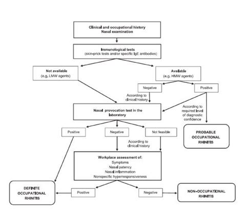 Practical Approaches For Nasal Provocation Test Download Scientific