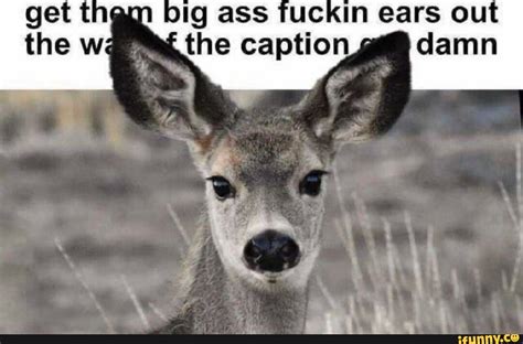 Tine Ass Vuckin Gars The Wwe Caption Damn Ifunny