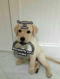 Teatro Mágico Porn Photo Pics