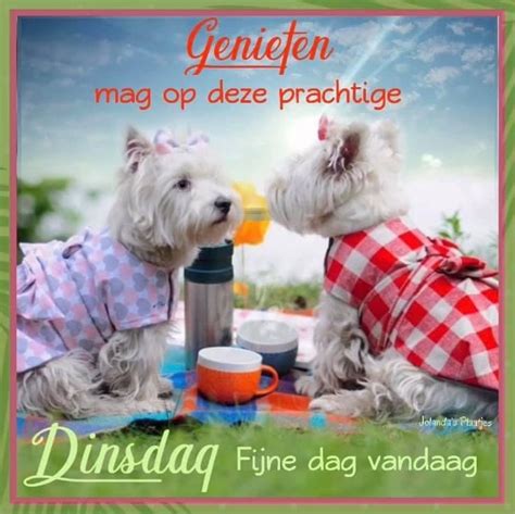Pin Van Kristel Maximus Op Weekdagen Dinsdag Humor Fijne Dinsdag