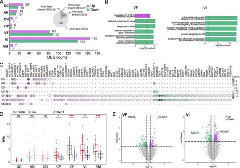 Figures And Data In Sex Biased Regulatory Changes In The Placenta Of Native Highlanders