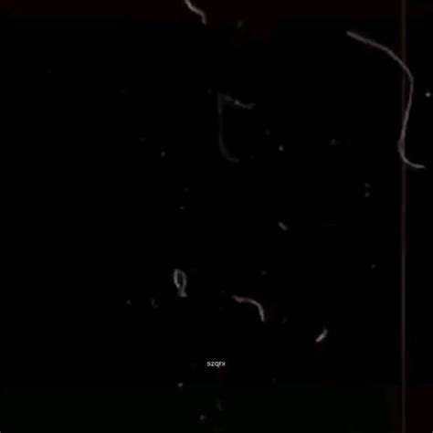 She S Hot Tanjiro Edit Demon Slayer