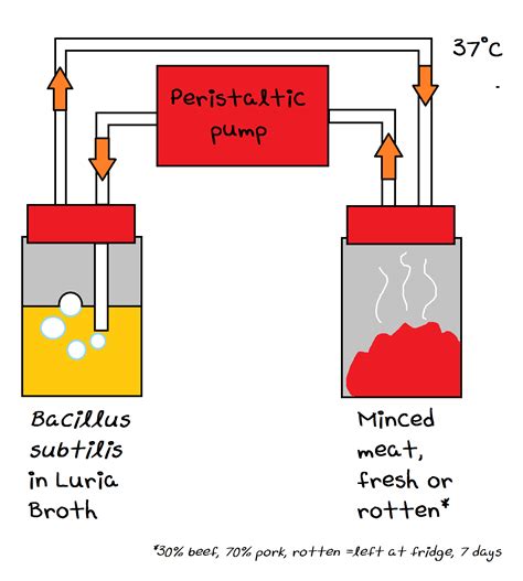 Team Groningen Notebook Wetwork June Igem Org