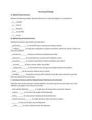 Forbes Lab1 Labex12 Docx Reviewing Knowledge A Skeletal Muscle