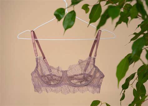 Free Photo Still Life Of Bra Lingerie