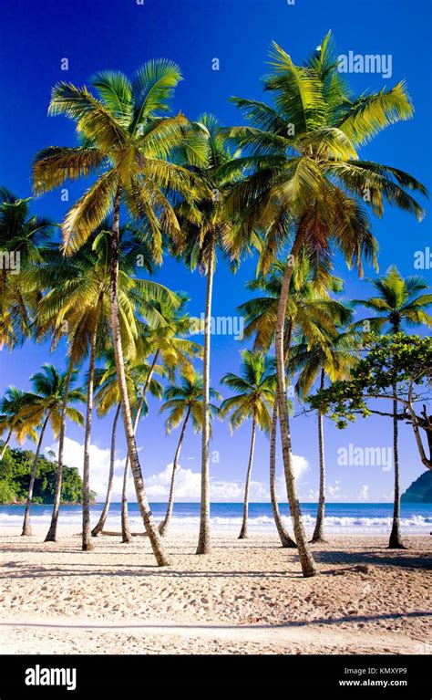 Maracas Bay, Trinidad Stock Photo - Alamy