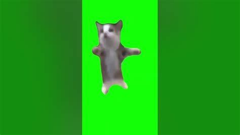 happy happy cat / хэппи хэппи кот - YouTube