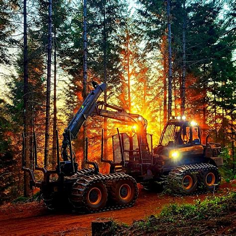 Forestry Jobs - Miller Timber Services